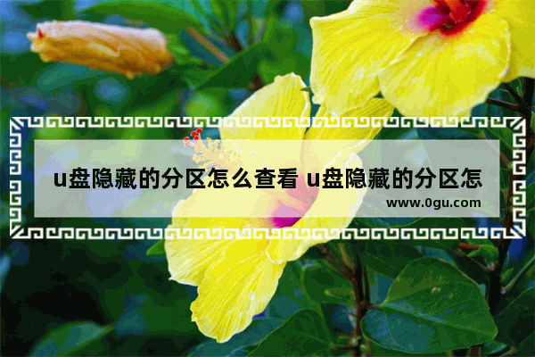 u盘隐藏的分区怎么查看 u盘隐藏的分区怎么查看