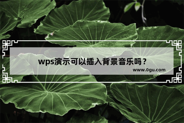 wps演示可以插入背景音乐吗？