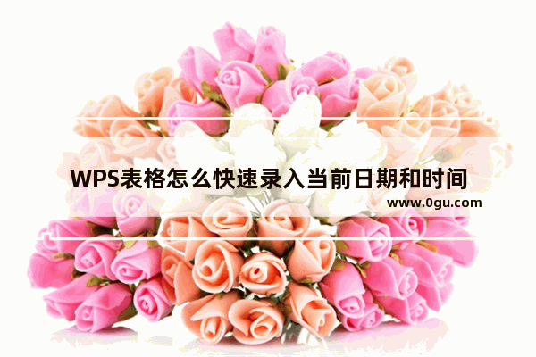 WPS表格怎么快速录入当前日期和时间