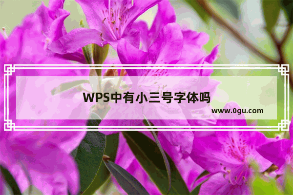 WPS中有小三号字体吗