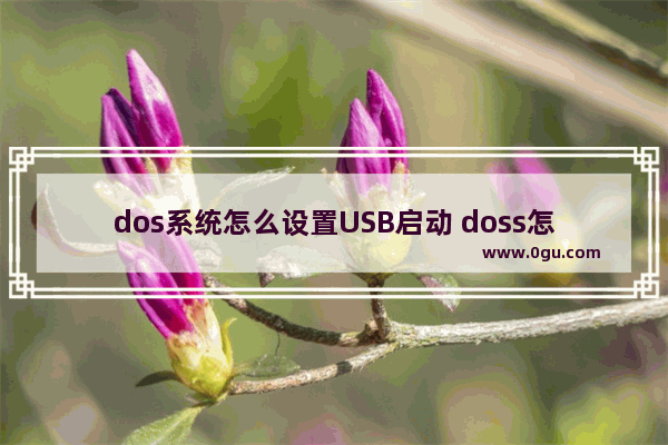 dos系统怎么设置USB启动 doss怎么设置u盘启动