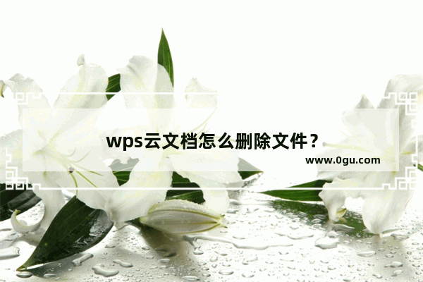 wps云文档怎么删除文件？