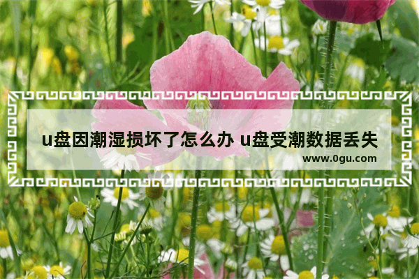 u盘因潮湿损坏了怎么办 u盘受潮数据丢失