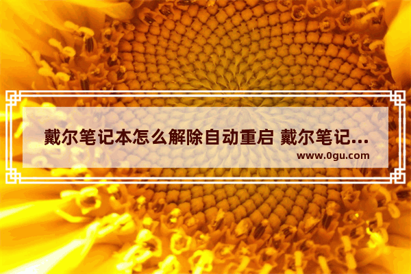 戴尔笔记本怎么解除自动重启 戴尔笔记本怎么解除自动重启设置