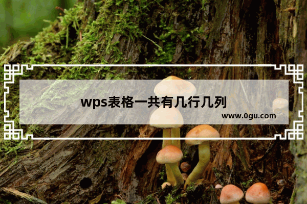 wps表格一共有几行几列