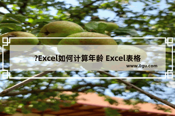 ?Excel如何计算年龄 Excel表格中算年龄的方法教程