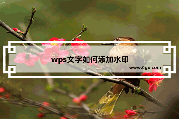 wps文字如何添加水印
