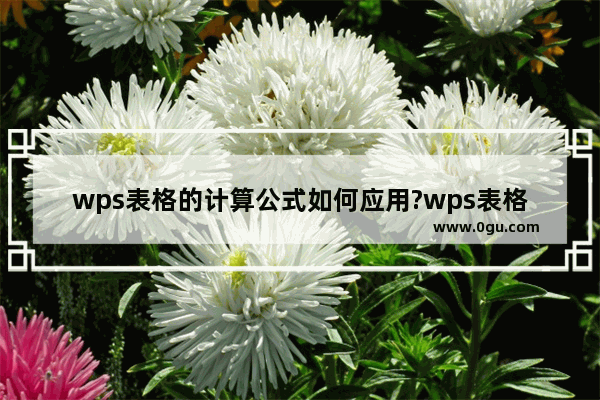 wps表格的计算公式如何应用?wps表格应用计算公式的方法教程