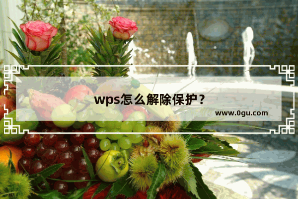 wps怎么解除保护？