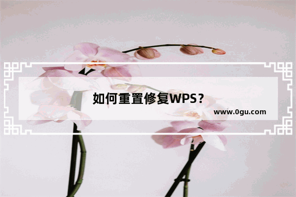 如何重置修复WPS？