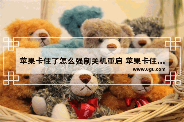 苹果卡住了怎么强制关机重启 苹果卡住了怎么强制关机重启不了