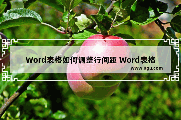 Word表格如何调整行间距 Word表格调整行间距的方法