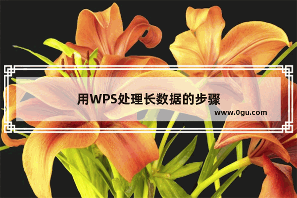用WPS处理长数据的步骤