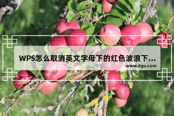 WPS怎么取消英文字母下的红色波浪下划线