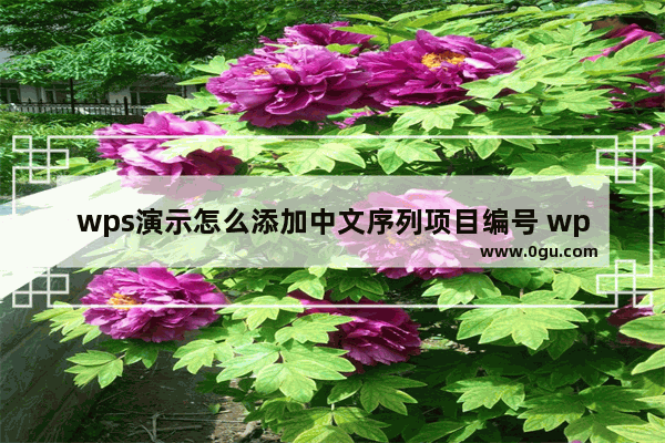 wps演示怎么添加中文序列项目编号 wps演示插入项目编号的方法