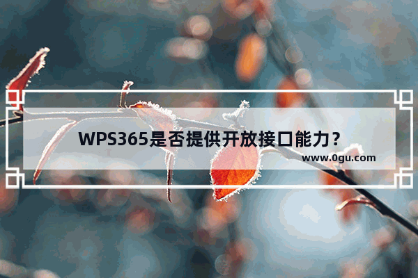 WPS365是否提供开放接口能力？