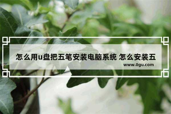 怎么用u盘把五笔安装电脑系统 怎么安装五笔打字程序