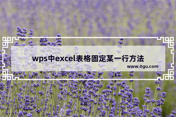wps中excel表格固定某一行方法