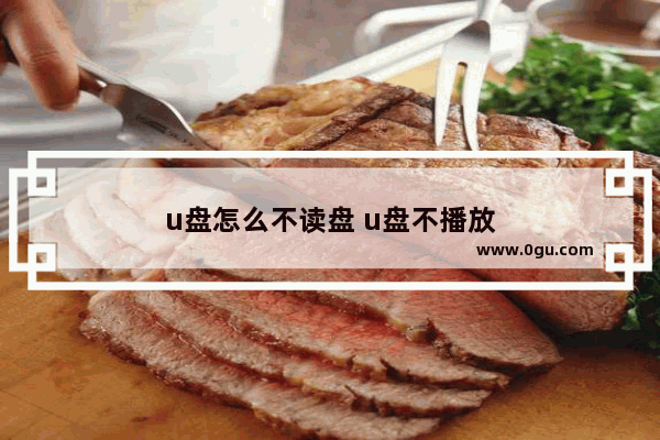u盘怎么不读盘 u盘不播放