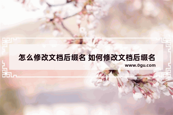 怎么修改文档后缀名 如何修改文档后缀名