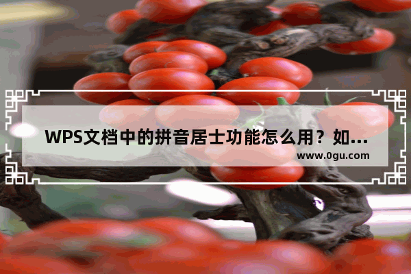 WPS文档中的拼音居士功能怎么用？如何使用WPS文档中的拼音居士功能？