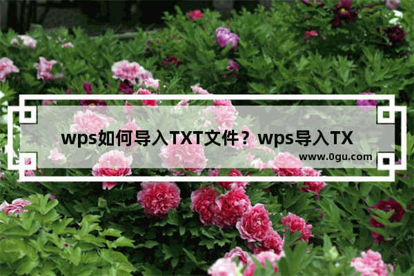 wps如何导入TXT文件？wps导入TXT文件的方法教程