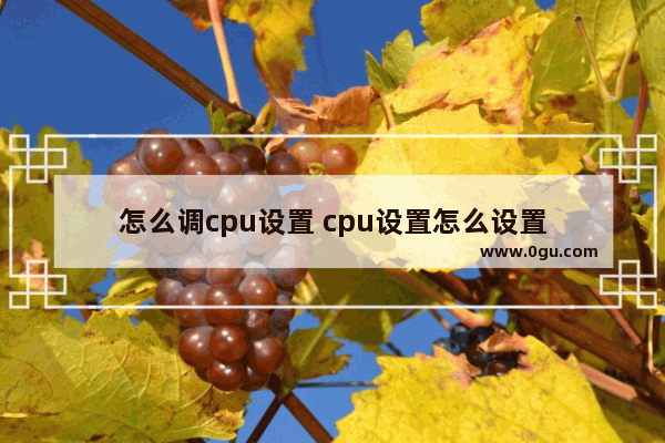 怎么调cpu设置 cpu设置怎么设置