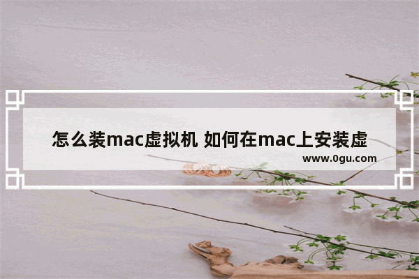 怎么装mac虚拟机 如何在mac上安装虚拟机搭载windows