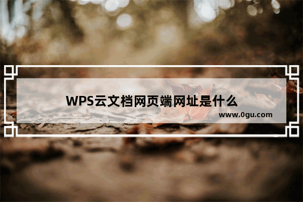 WPS云文档网页端网址是什么