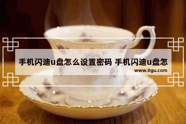 手机闪迪u盘怎么设置密码 手机闪迪u盘怎么设置密码保护