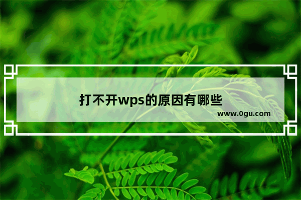 打不开wps的原因有哪些