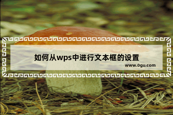 如何从wps中进行文本框的设置