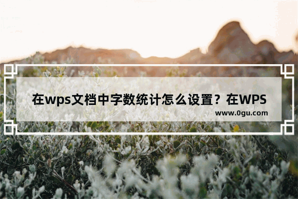 在wps文档中字数统计怎么设置？在WPS文档中如何实现字数统计？