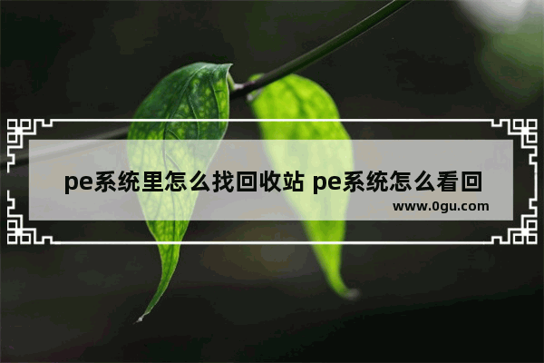 pe系统里怎么找回收站 pe系统怎么看回收站