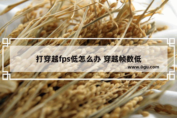 打穿越fps低怎么办 穿越帧数低