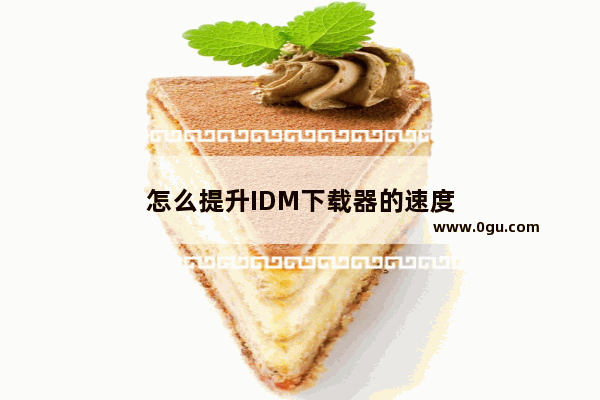 怎么提升IDM下载器的速度