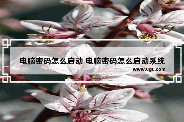 电脑密码怎么启动 电脑密码怎么启动系统