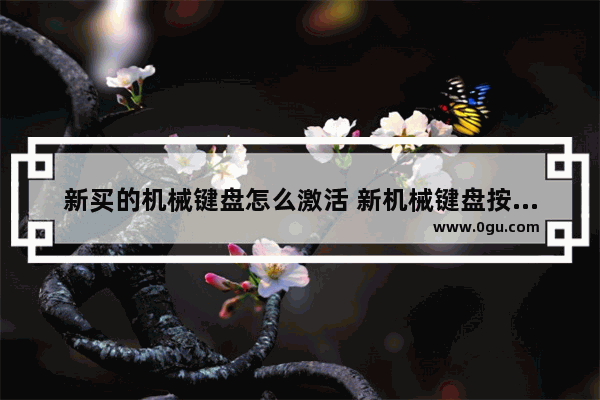 新买的机械键盘怎么激活 新机械键盘按键没反应