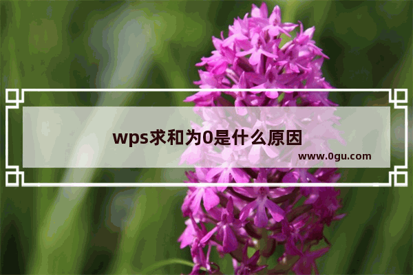 wps求和为0是什么原因