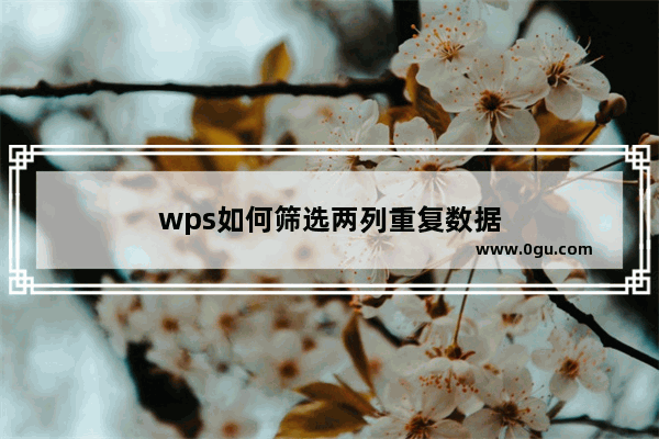 wps如何筛选两列重复数据