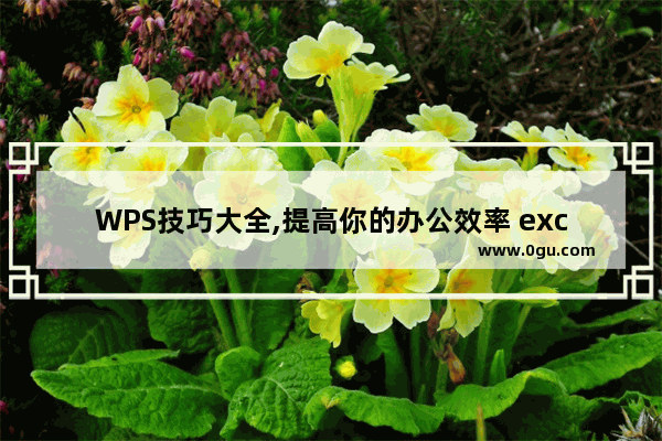 WPS技巧大全,提高你的办公效率 excelcn
