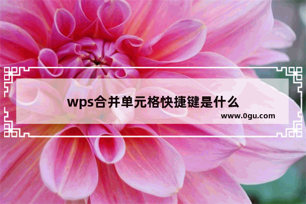 wps合并单元格快捷键是什么