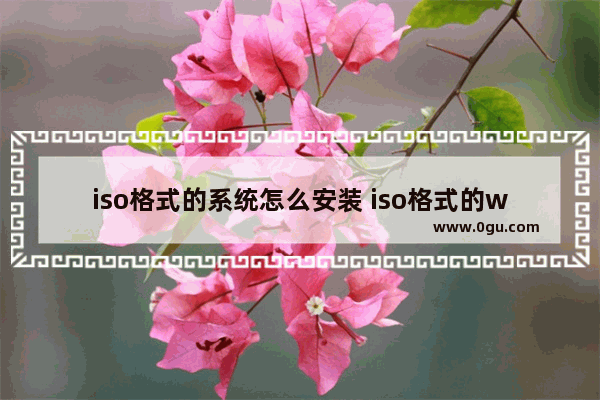 iso格式的系统怎么安装 iso格式的win10怎么安装