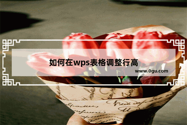 如何在wps表格调整行高