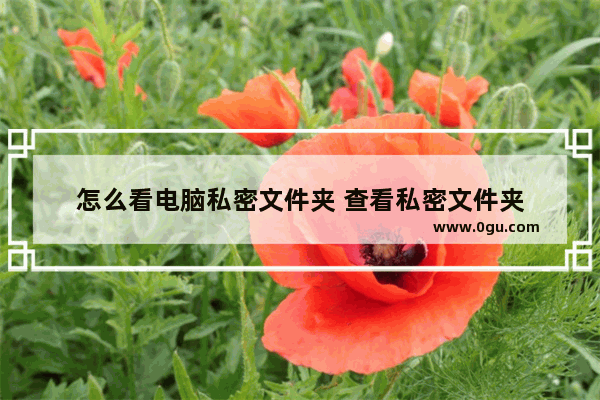 怎么看电脑私密文件夹 查看私密文件夹
