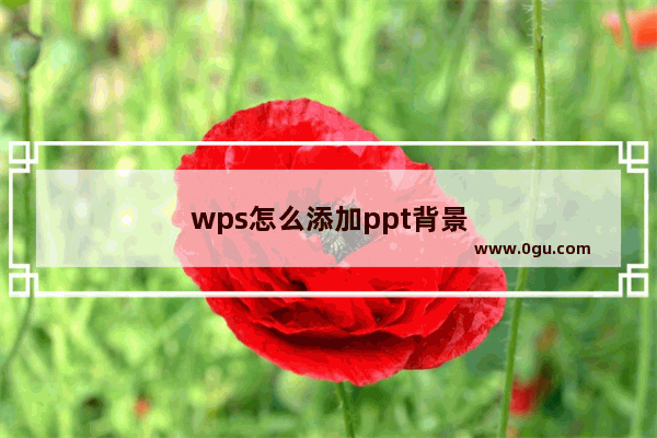 wps怎么添加ppt背景