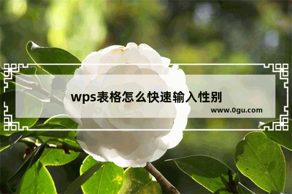 wps表格怎么快速输入性别