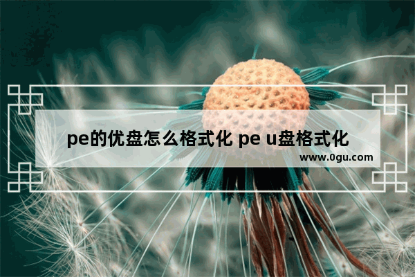 pe的优盘怎么格式化 pe u盘格式化