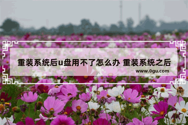 重装系统后u盘用不了怎么办 重装系统之后u盘读不出来