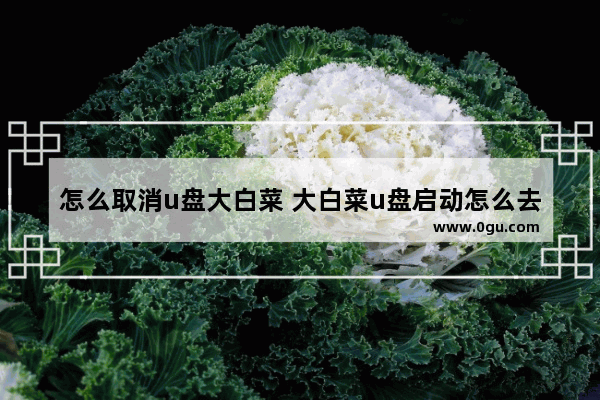 怎么取消u盘大白菜 大白菜u盘启动怎么去广告